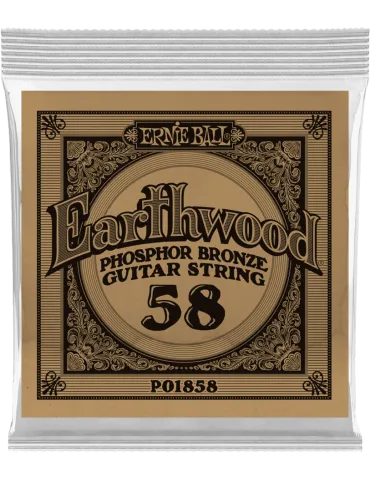 ERNIE BALL 1858 | MusicGoodDeal