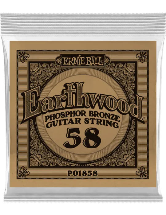 ERNIE BALL 1858 | MusicGoodDeal
