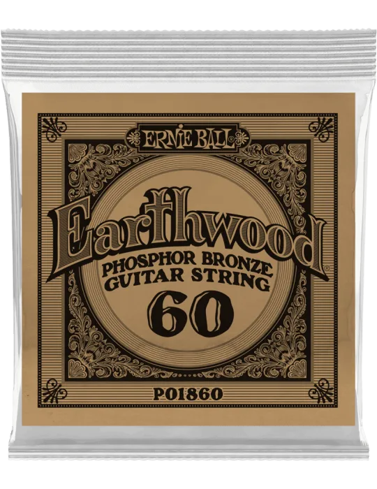 ERNIE BALL 1860 | MusicGoodDeal