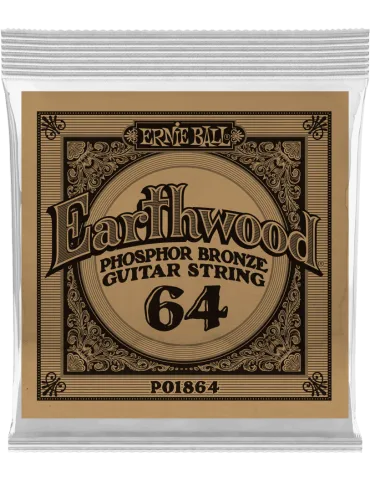 ERNIE BALL 1864 | MusicGoodDeal