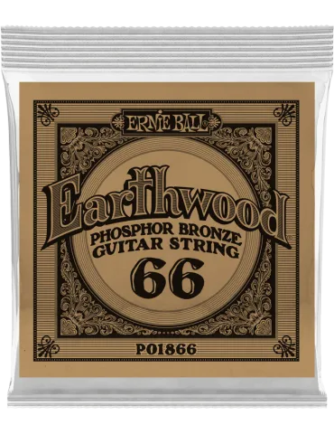 ERNIE BALL 1866 | MusicGoodDeal
