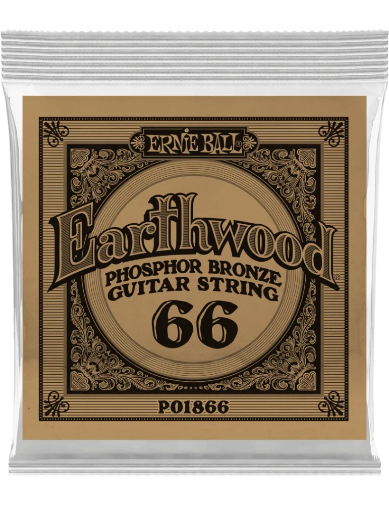 ERNIE BALL 1866 | MusicGoodDeal