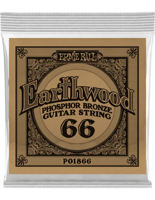 ERNIE BALL 1866 | MusicGoodDeal