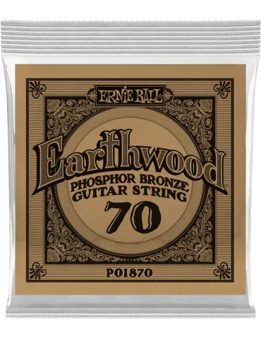 ERNIE BALL 1870 | MusicGoodDeal