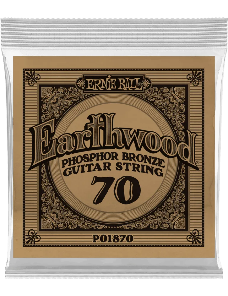 ERNIE BALL 1870 | MusicGoodDeal