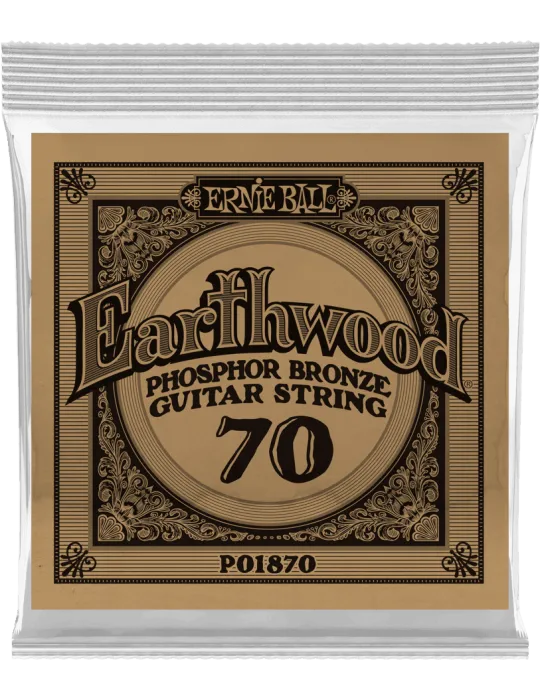 ERNIE BALL 1870 | MusicGoodDeal