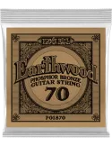 ERNIE BALL 1870 | MusicGoodDeal