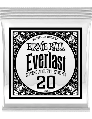 ERNIE BALL 10220 | MusicGoodDeal