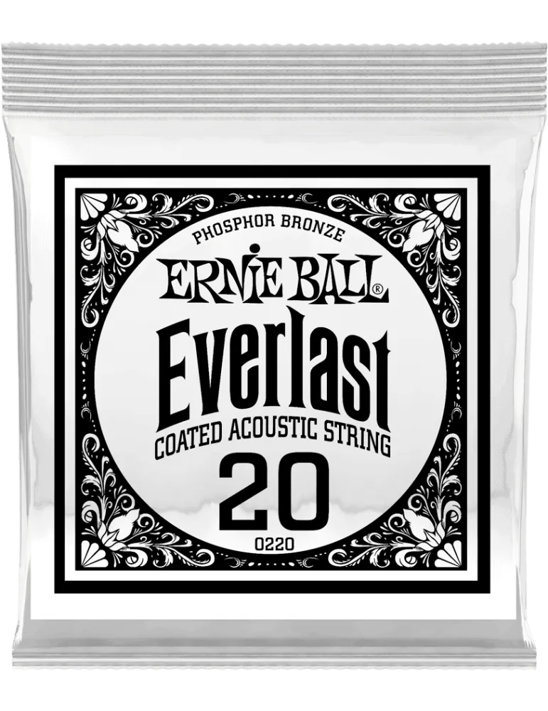 ERNIE BALL 10220 | MusicGoodDeal