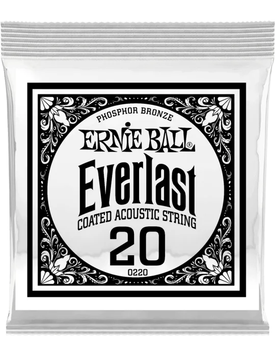 ERNIE BALL 10220 | MusicGoodDeal