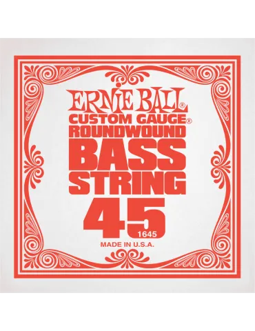 ERNIE BALL 1645 | MusicGoodDeal