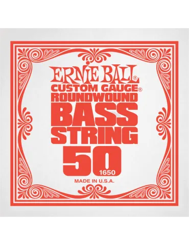 ERNIE BALL 1650 | MusicGoodDeal