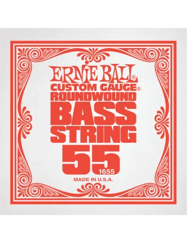ERNIE BALL 1655 | MusicGoodDeal