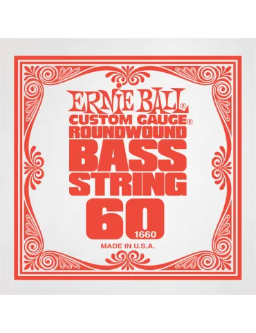 ERNIE BALL 1660 | MusicGoodDeal