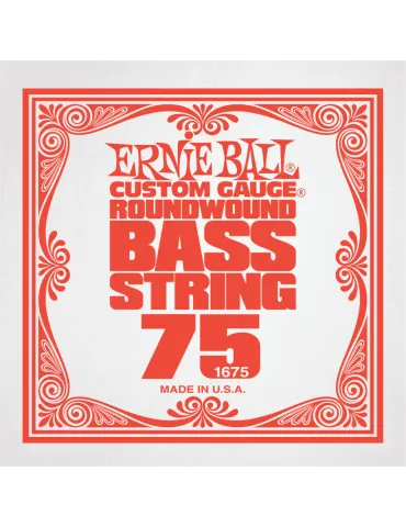 ERNIE BALL 1675 | MusicGoodDeal