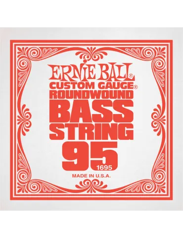 ERNIE BALL 1695 | MusicGoodDeal