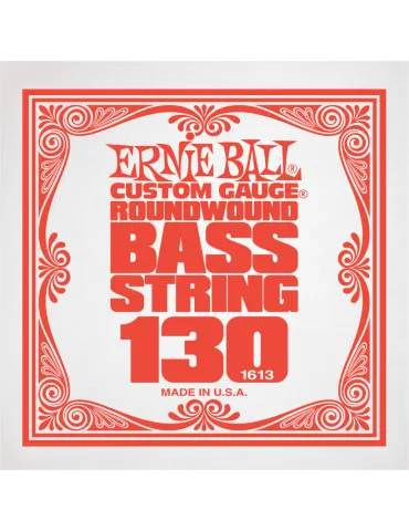 ERNIE BALL 1613 | MusicGoodDeal