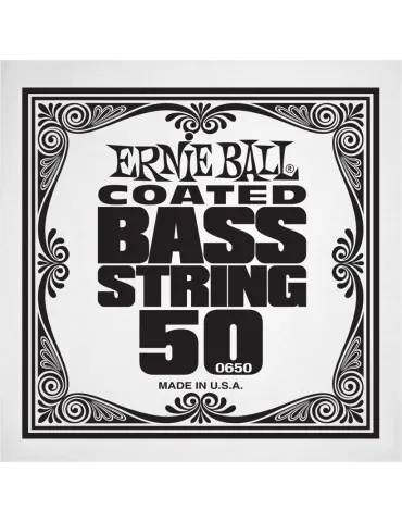 ERNIE BALL 0650 | MusicGoodDeal