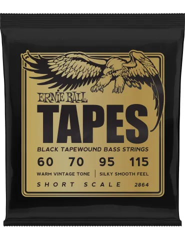 ERNIE BALL 2864 | MusicGoodDeal