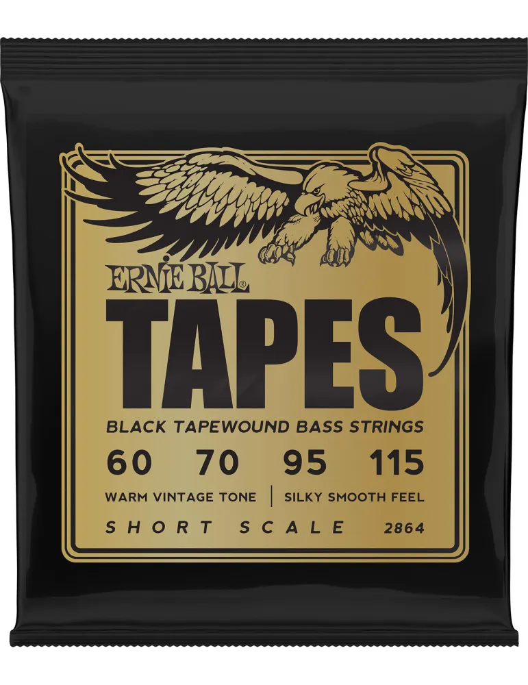 ERNIE BALL 2864 | MusicGoodDeal
