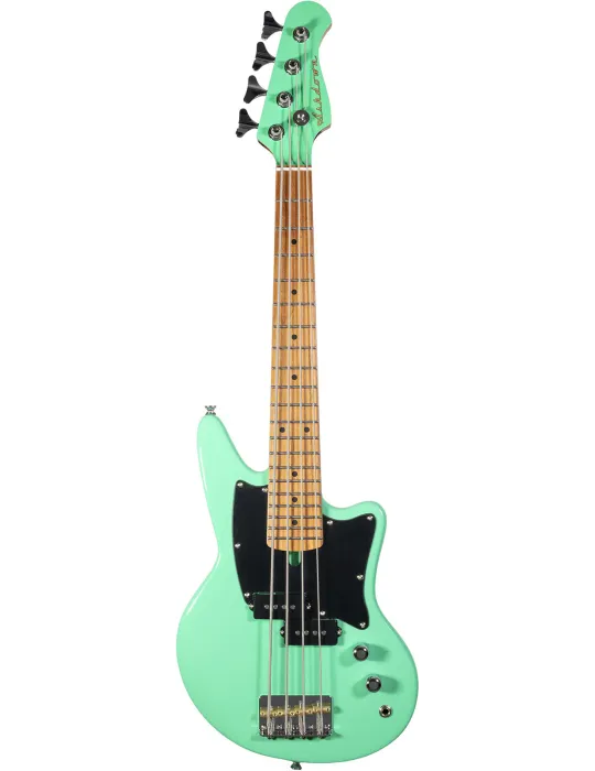 ASHDOWN CAPRI23-SFG | MusicGoodDeal