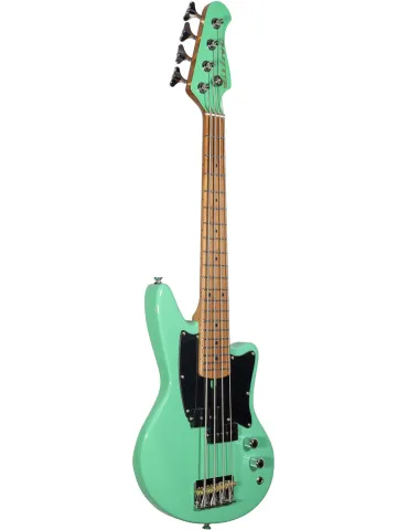 ASHDOWN CAPRI23-SFG | MusicGoodDeal 2