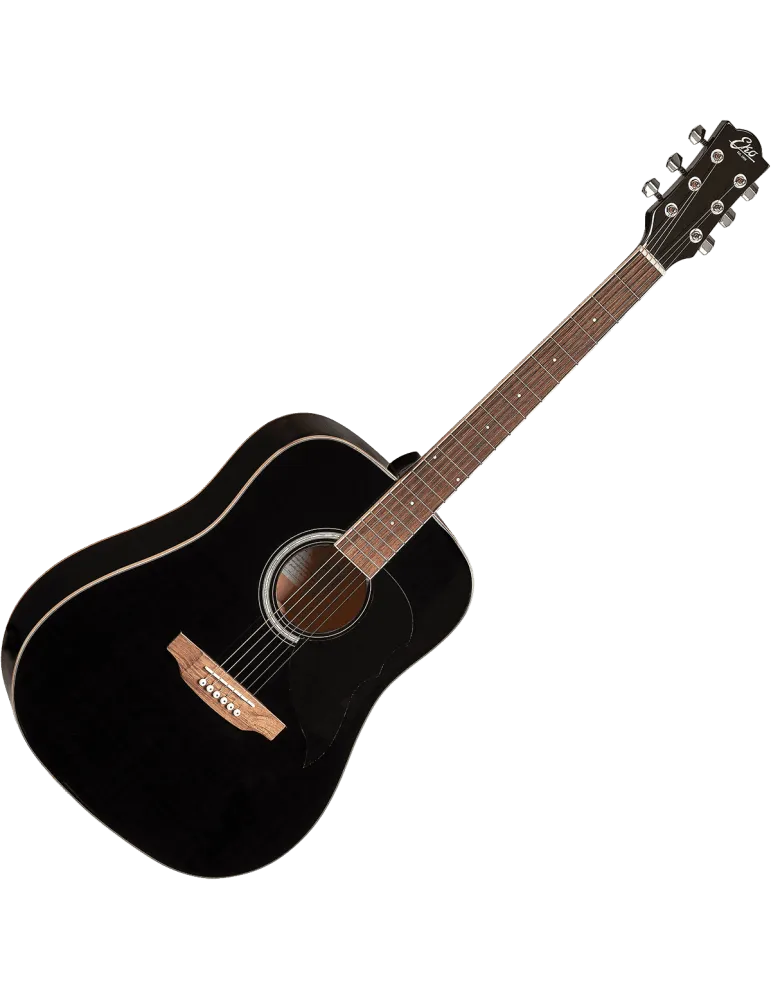 EKO RANGER6-BLK | MusicGoodDeal