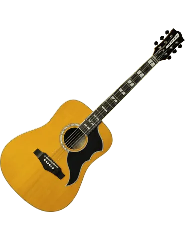 EKO RANGERVR6-NAT | MusicGoodDeal 2