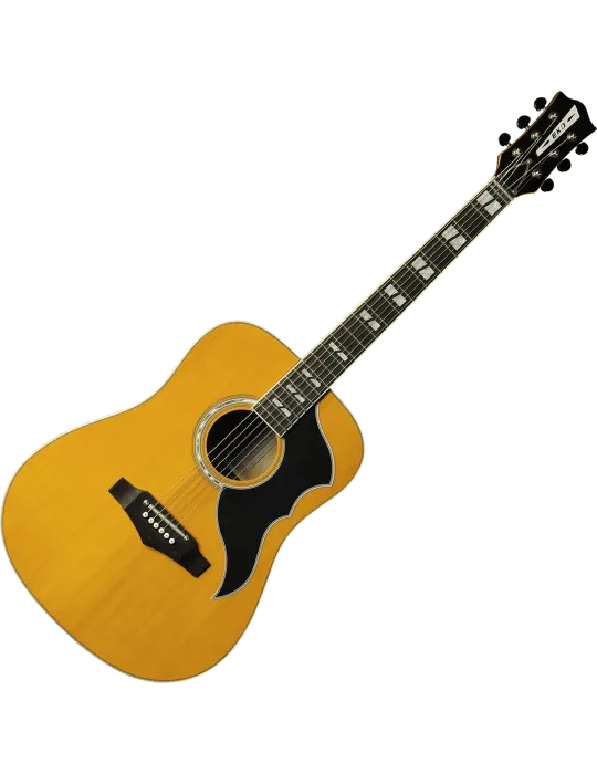 EKO RANGERVR6-NAT | MusicGoodDeal