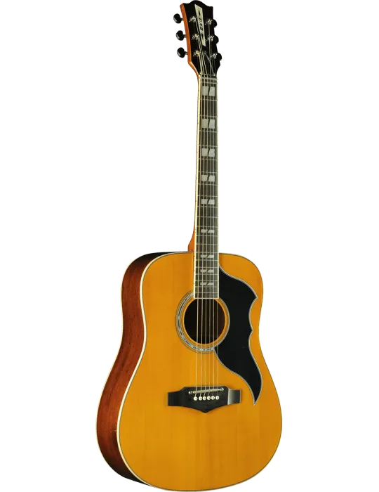 EKO RANGERVR6-NAT | MusicGoodDeal