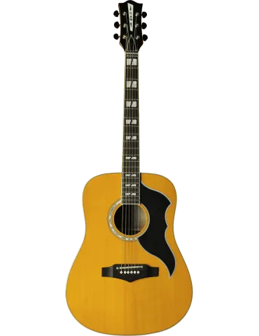 EKO RANGERVR6-EQ-NAT | MusicGoodDeal
