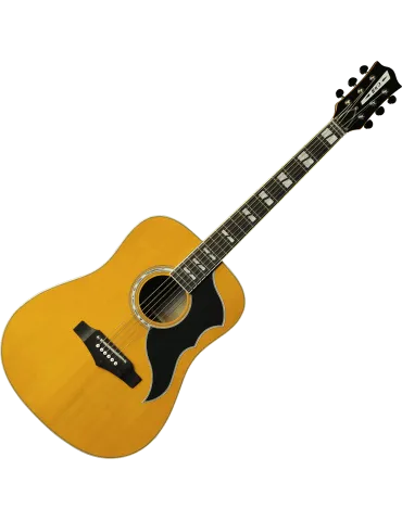 EKO RANGERVR6-EQ-NAT | MusicGoodDeal 2