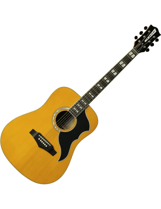 EKO RANGERVR6-EQ-NAT | MusicGoodDeal