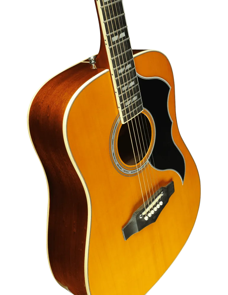 EKO RANGERVR6-EQ-NAT | MusicGoodDeal