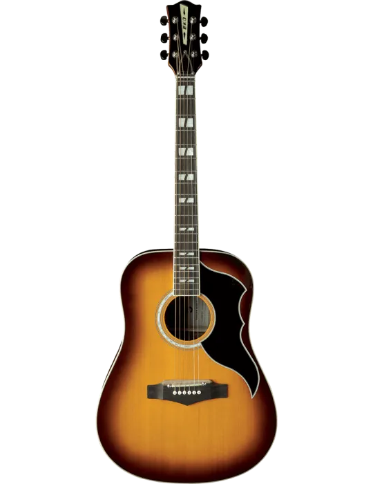 EKO RANGERVR6-EQ-HB | MusicGoodDeal