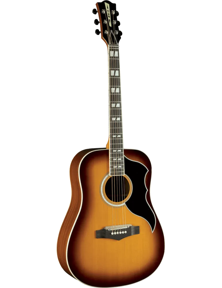 EKO RANGERVR6-EQ-HB | MusicGoodDeal