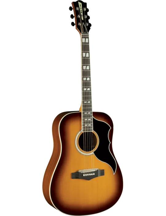 EKO RANGERVR6-EQ-HB | MusicGoodDeal