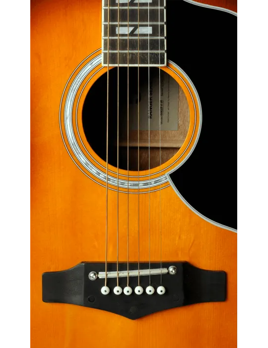 EKO RANGERVR6-EQ-HB | MusicGoodDeal