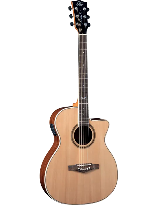 EKO NXT-A100CWE-NAT | MusicGoodDeal