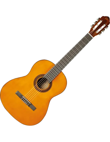 EKO CS12 | MusicGoodDeal 2