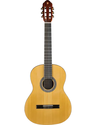 EKO VIBRA100 | MusicGoodDeal