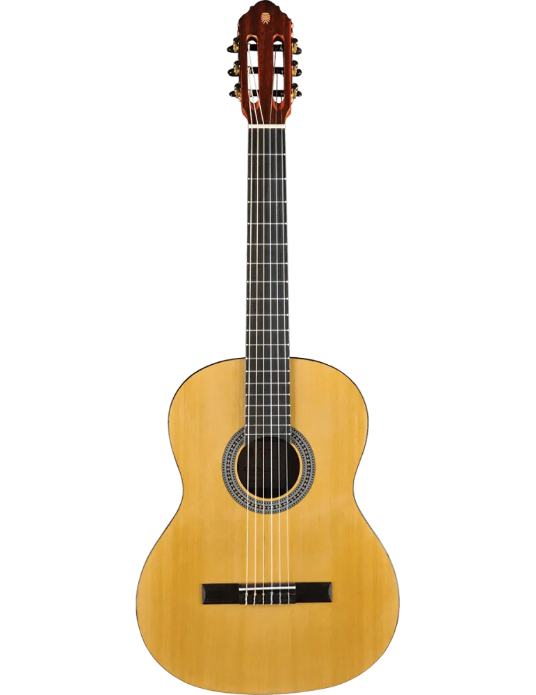 EKO VIBRA100 | MusicGoodDeal
