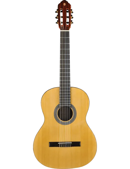 EKO VIBRA100 | MusicGoodDeal
