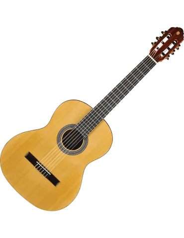 EKO VIBRA100 | MusicGoodDeal 2