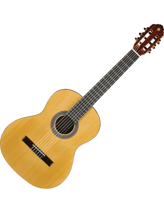EKO VIBRA100 | MusicGoodDeal