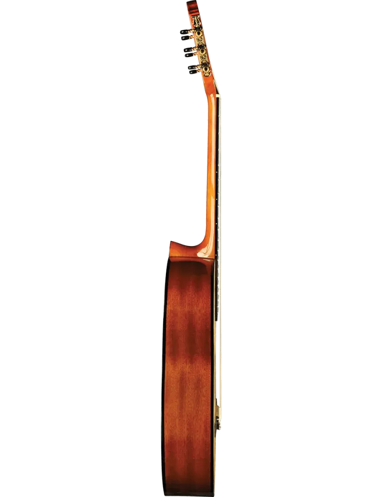EKO VIBRA100 | MusicGoodDeal