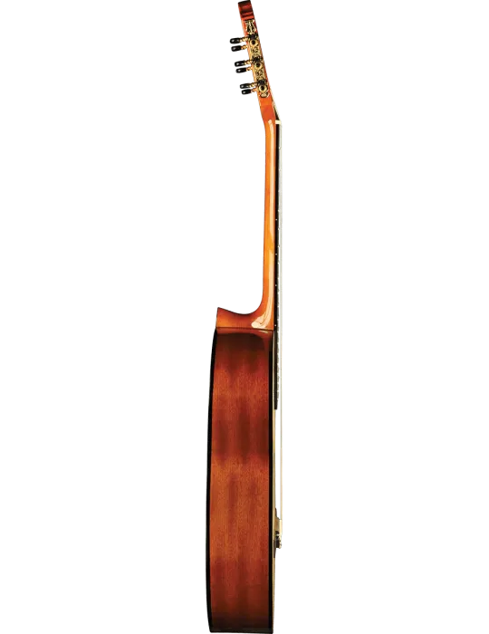 EKO VIBRA100 | MusicGoodDeal