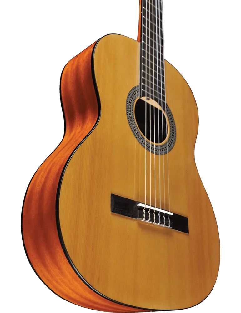 EKO VIBRA100 | MusicGoodDeal