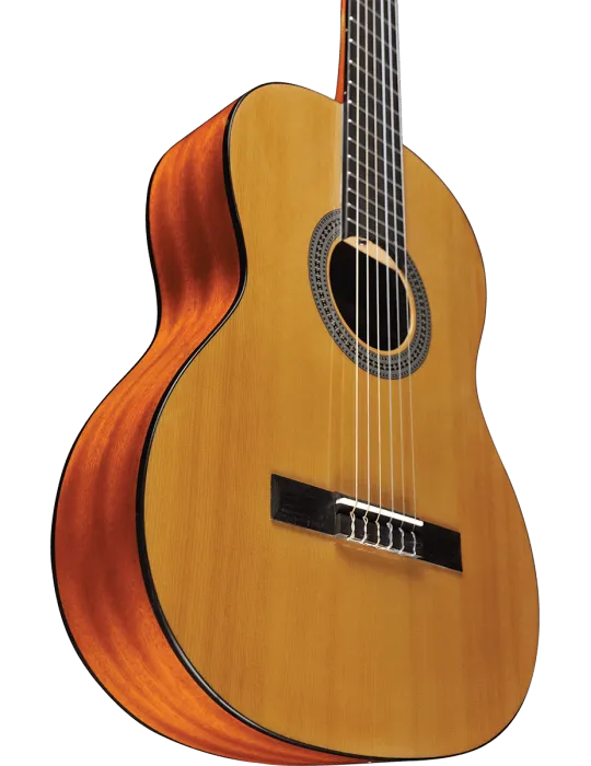 EKO VIBRA100 | MusicGoodDeal
