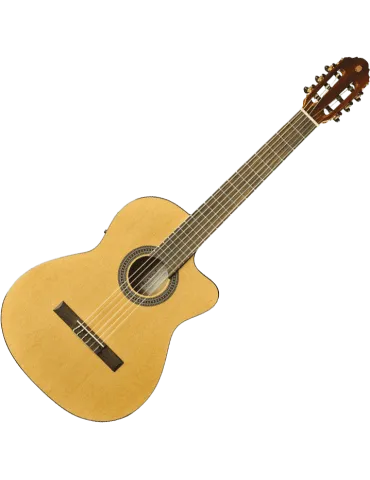 EKO VIBRA150CW | MusicGoodDeal 2